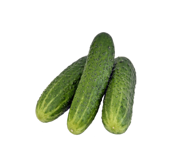 s6